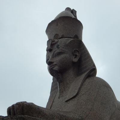 Sphinx in Sankt Petersburg
