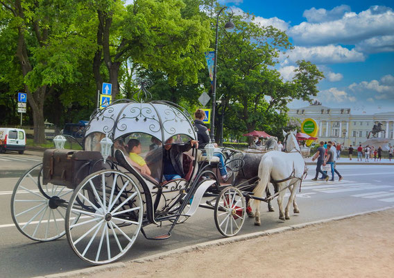 Pferdekutsche in St Petersburg